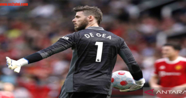 de GEA